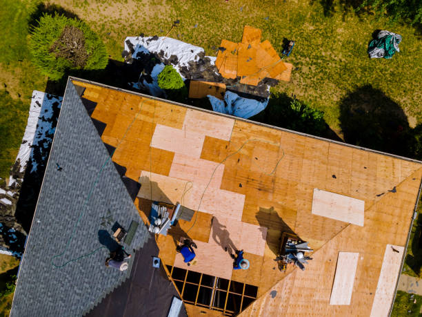 Residential Roof Replacement in Alva, FL