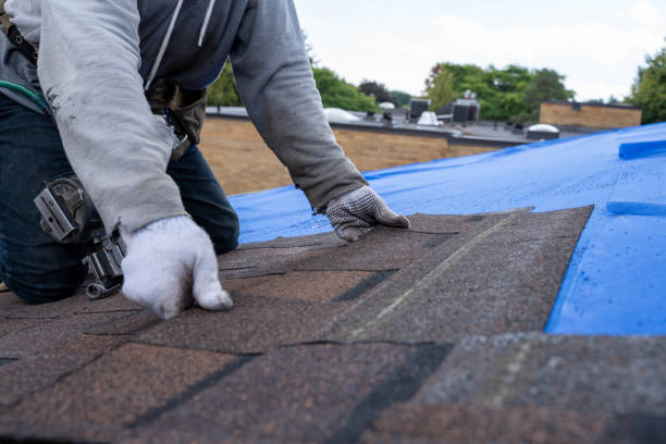 Quick and Trustworthy Emergency Roof Repair Services in Alva, FL