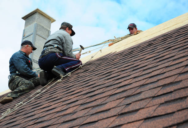 Best Storm Damage Roof Repair  in Alva, FL