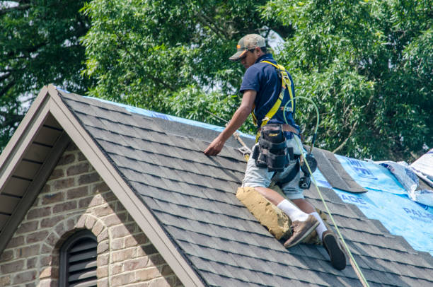 Best Shingle Roofing Installation  in Alva, FL